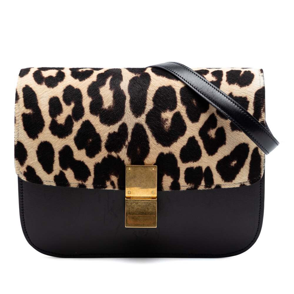 Celine Classic Box Bag Leather With #316168C11B